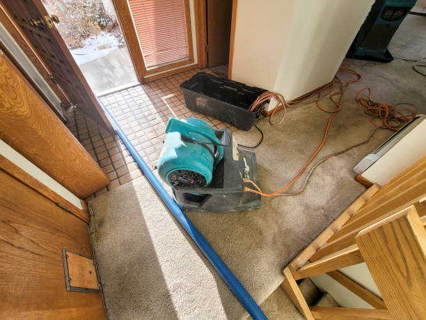 Reliable MD Water damage restoration Solutions