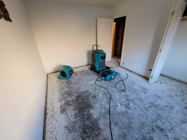 Best Water damage restoration near me  in Ten Mile Creek, MD