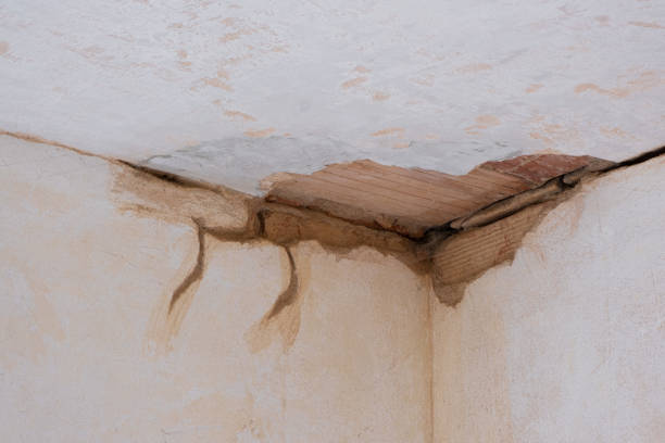 Best Carpet water damage restoration  in Ten Mile Creek, MD