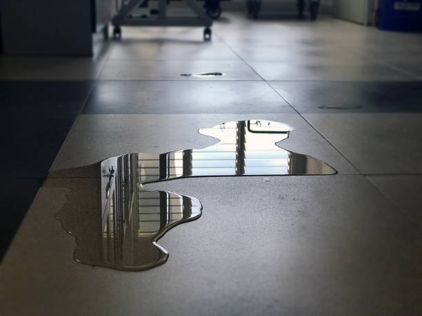 Best 24-hour water damage restoration  in Ten Mile Creek, MD