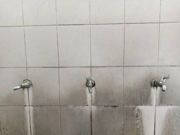Best Basement water damage restoration  in Ten Mile Creek, MD