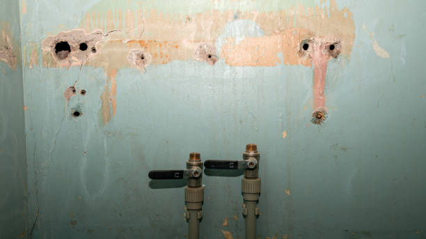 Best Carpet water damage restoration  in Ten Mile Creek, MD