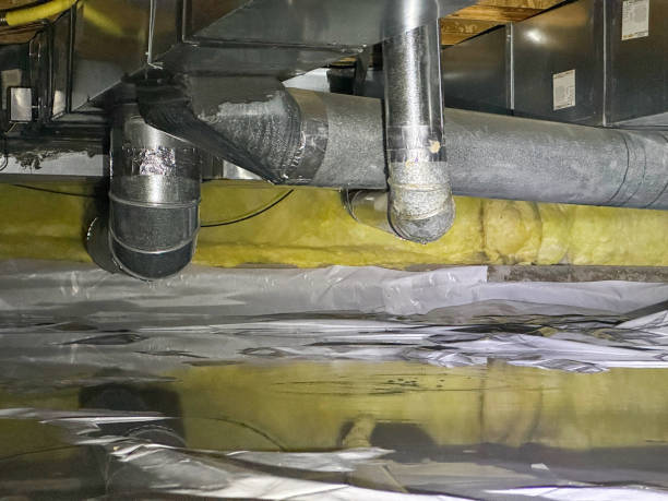 Best Mold removal after water damage  in Ten Mile Creek, MD