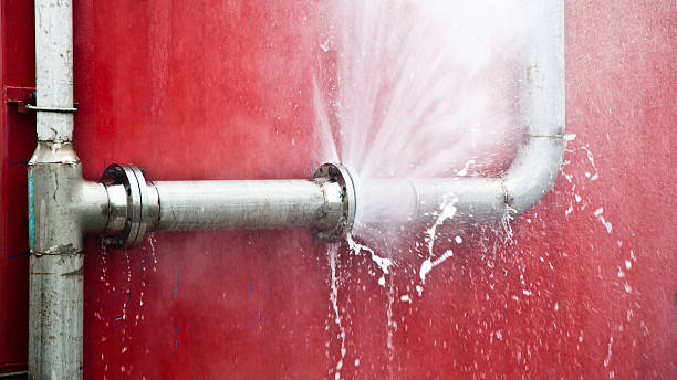 Best Sewage cleanup and water damage restoration  in Ten Mile Creek, MD